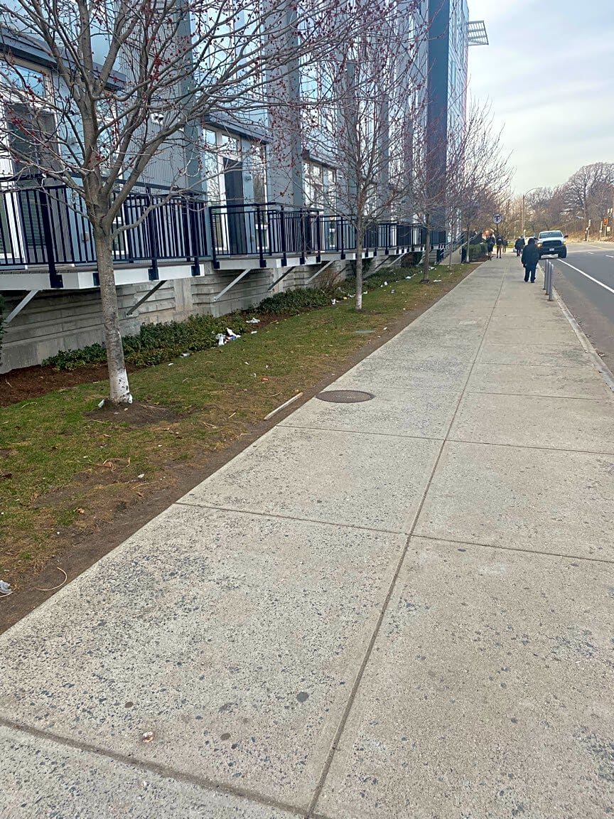 Image submitted with report