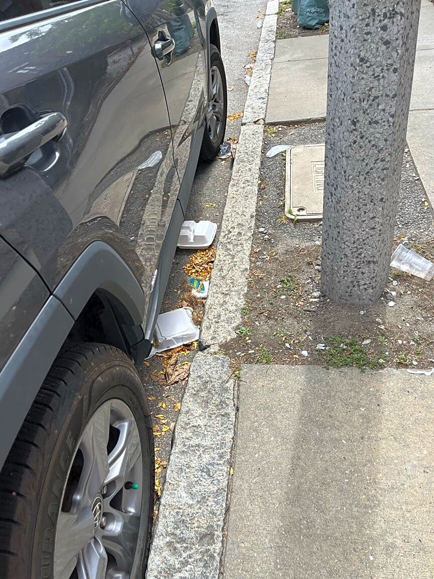Image submitted with report