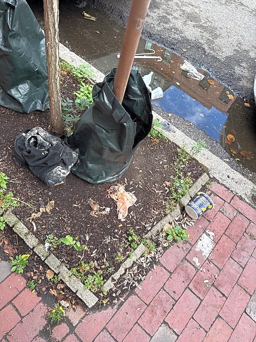 Image submitted with report