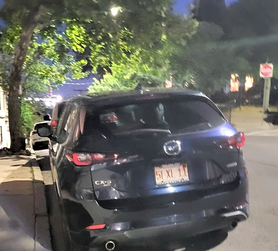 Image submitted with report