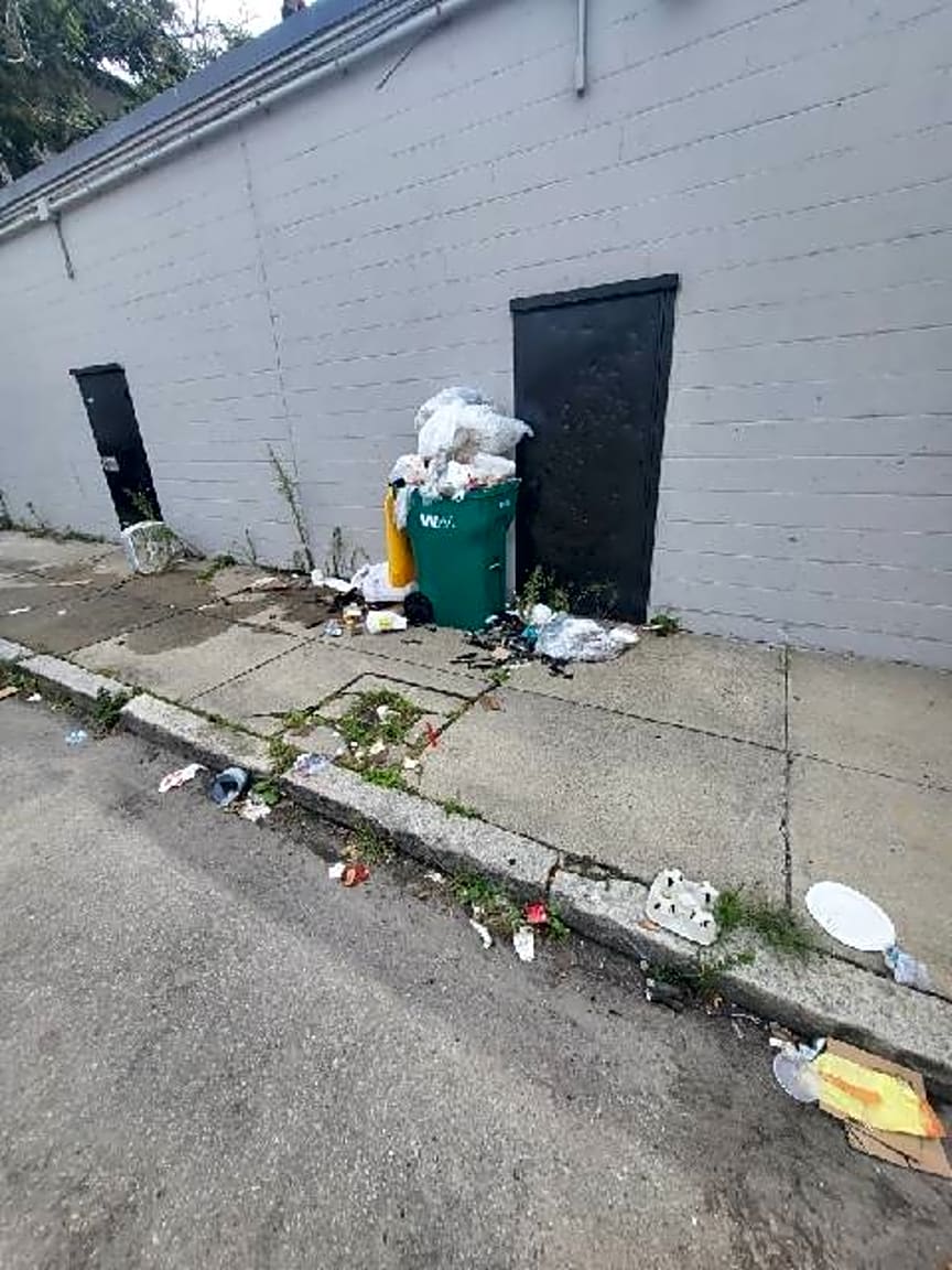 Image submitted with report