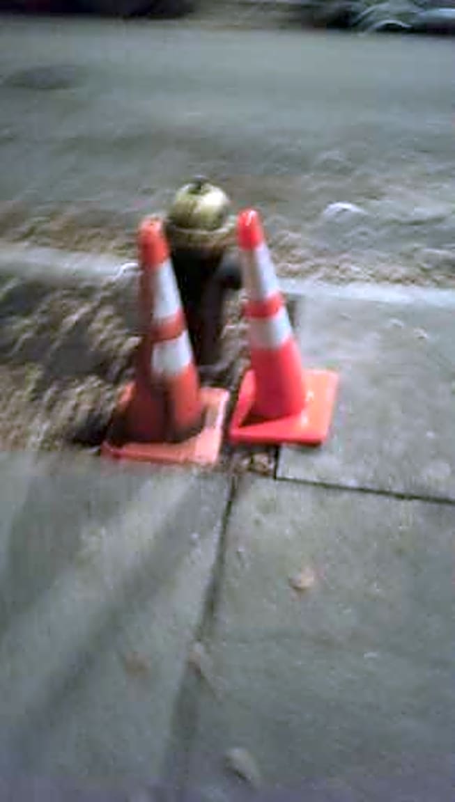 Image submitted with report