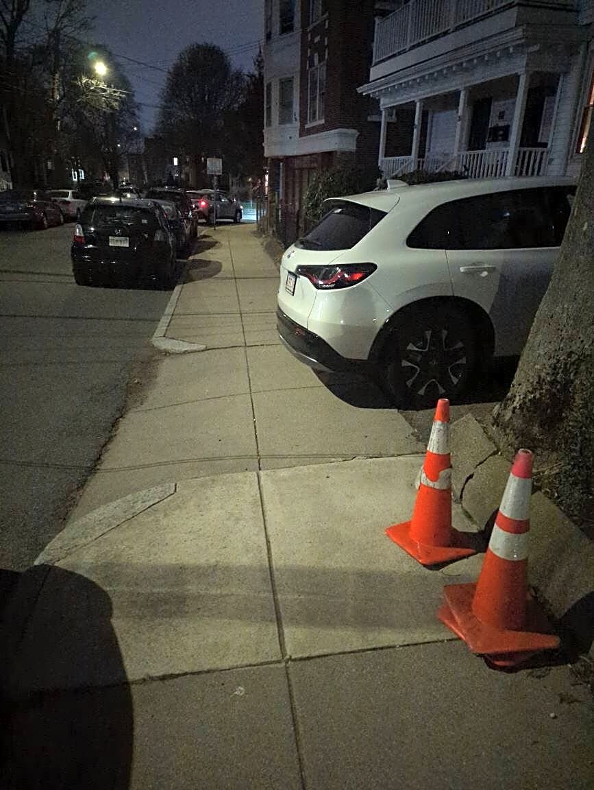 Image submitted with report