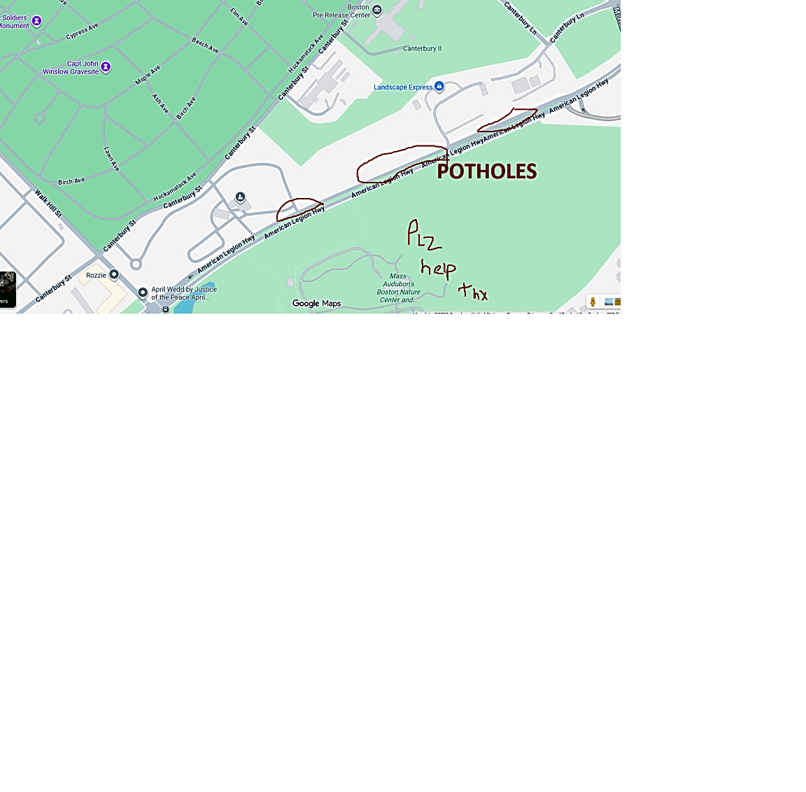 Image submitted with report