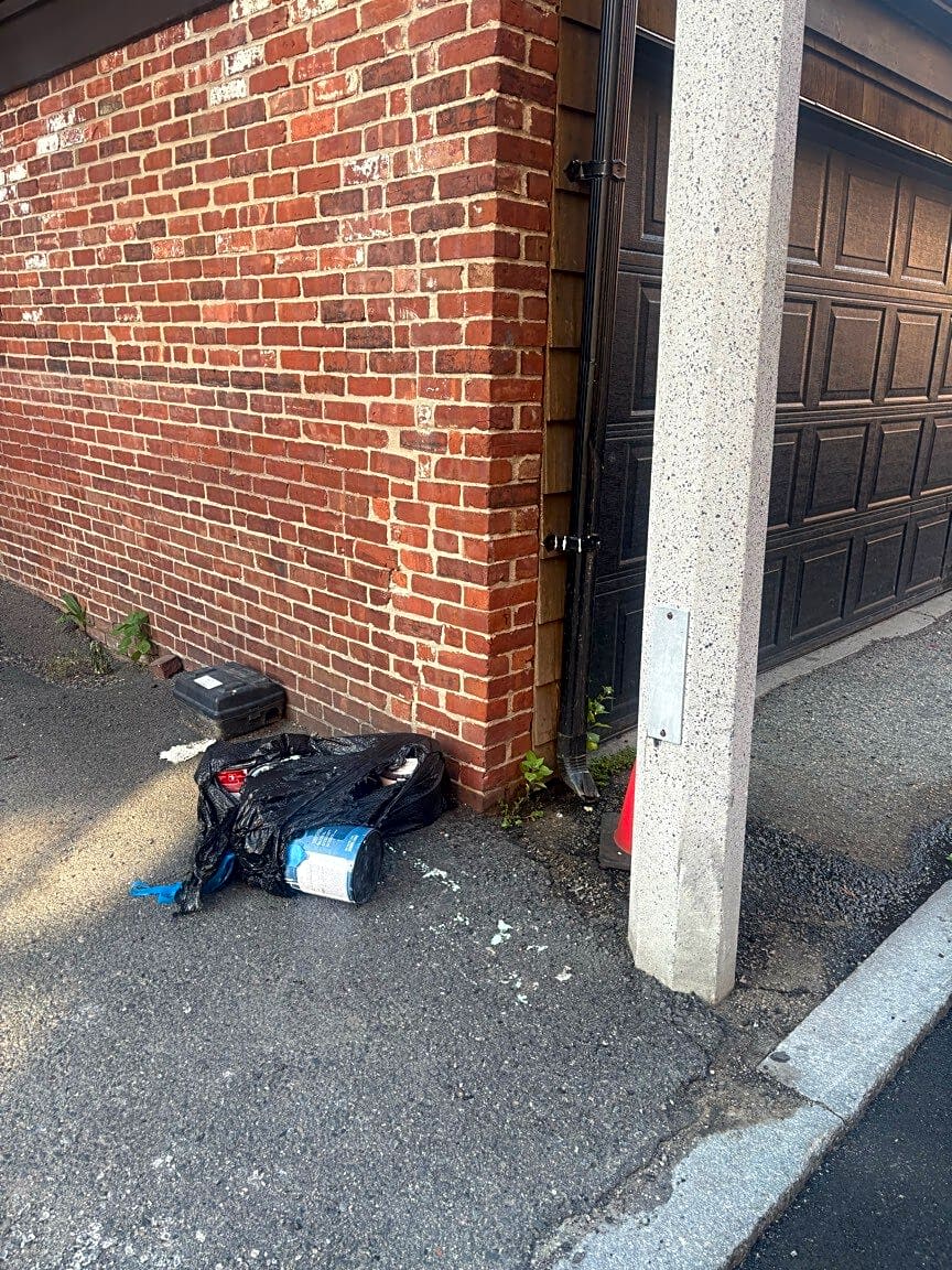 Image submitted with report