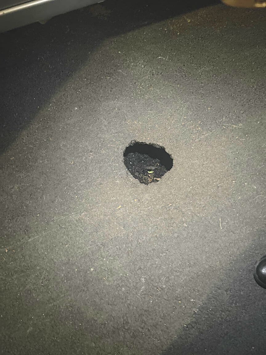 Image submitted with report