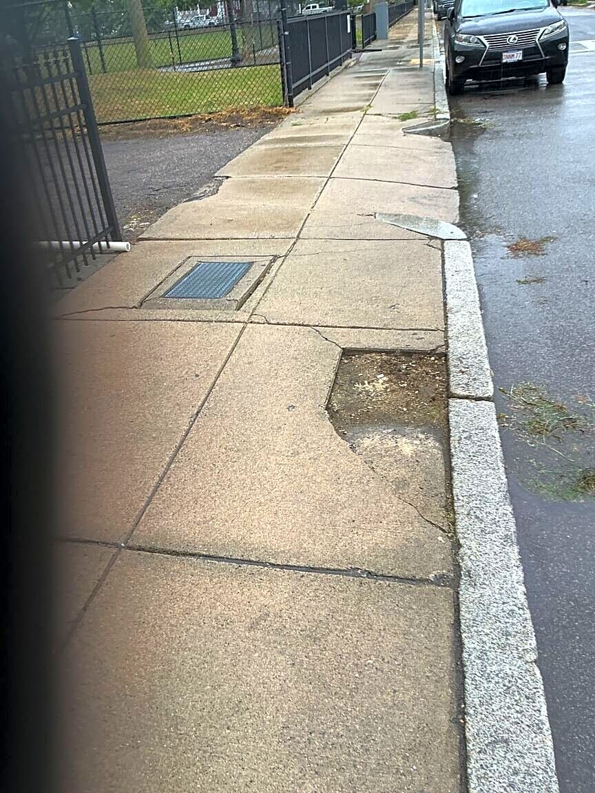 Image submitted with report