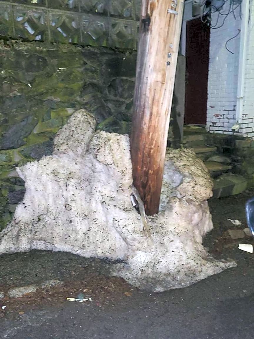 Image submitted with report