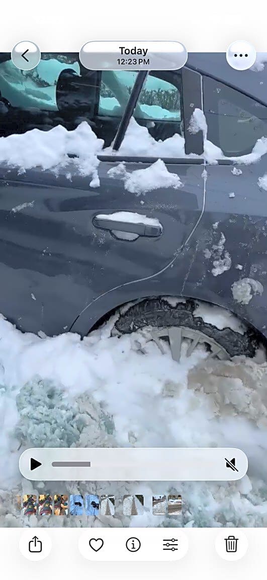 Image submitted with report