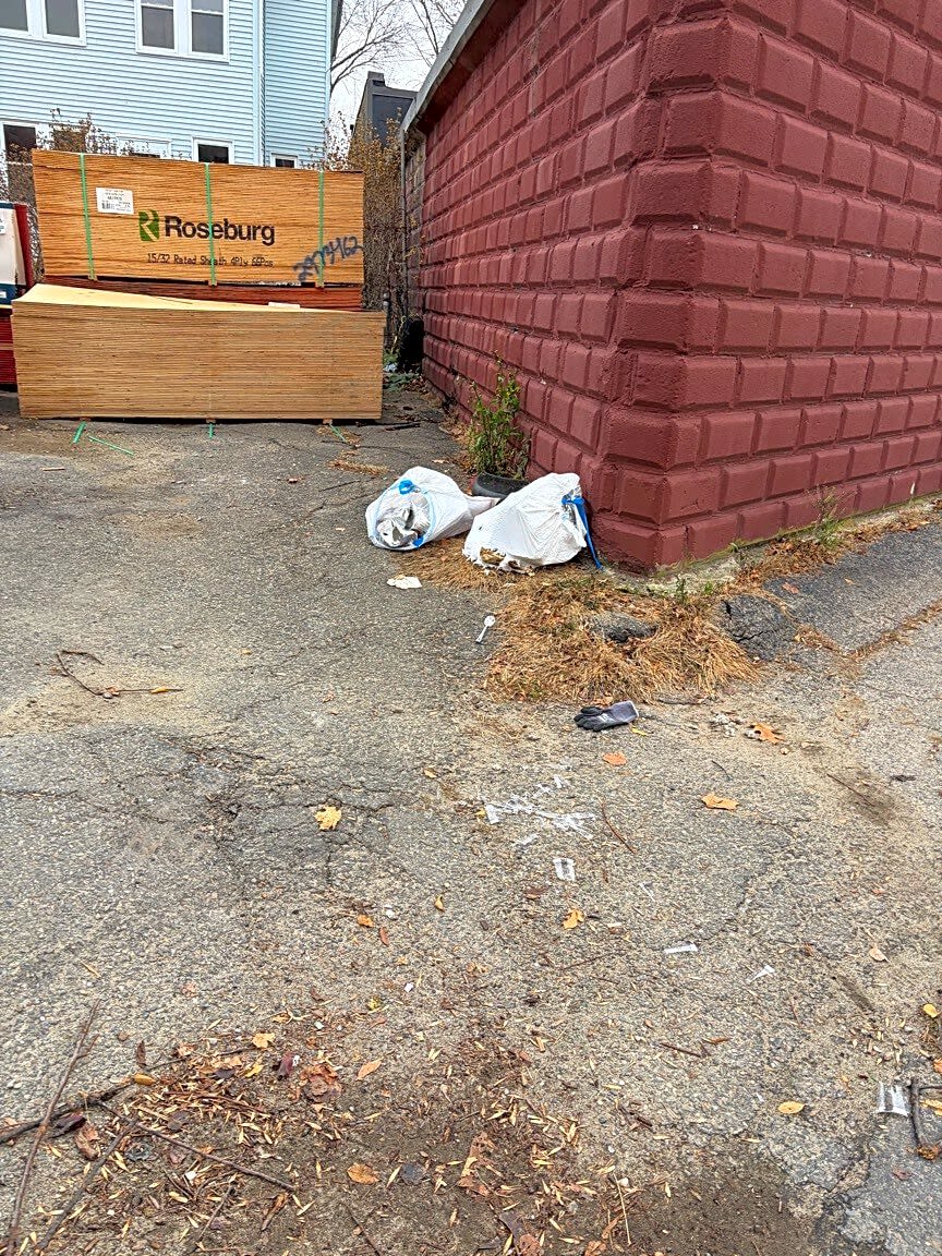 Image submitted with report