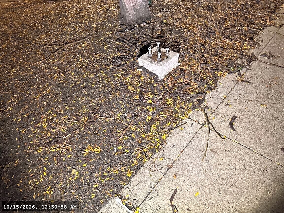 Image submitted with report