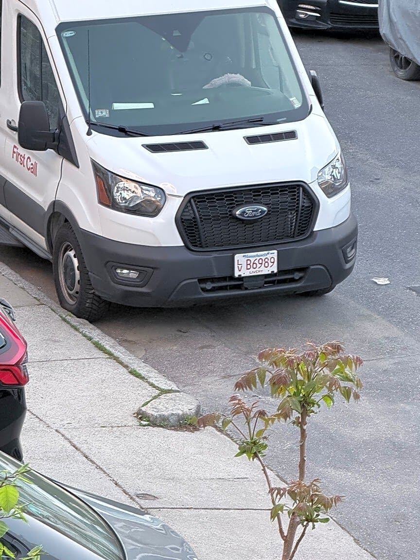 Image submitted with report