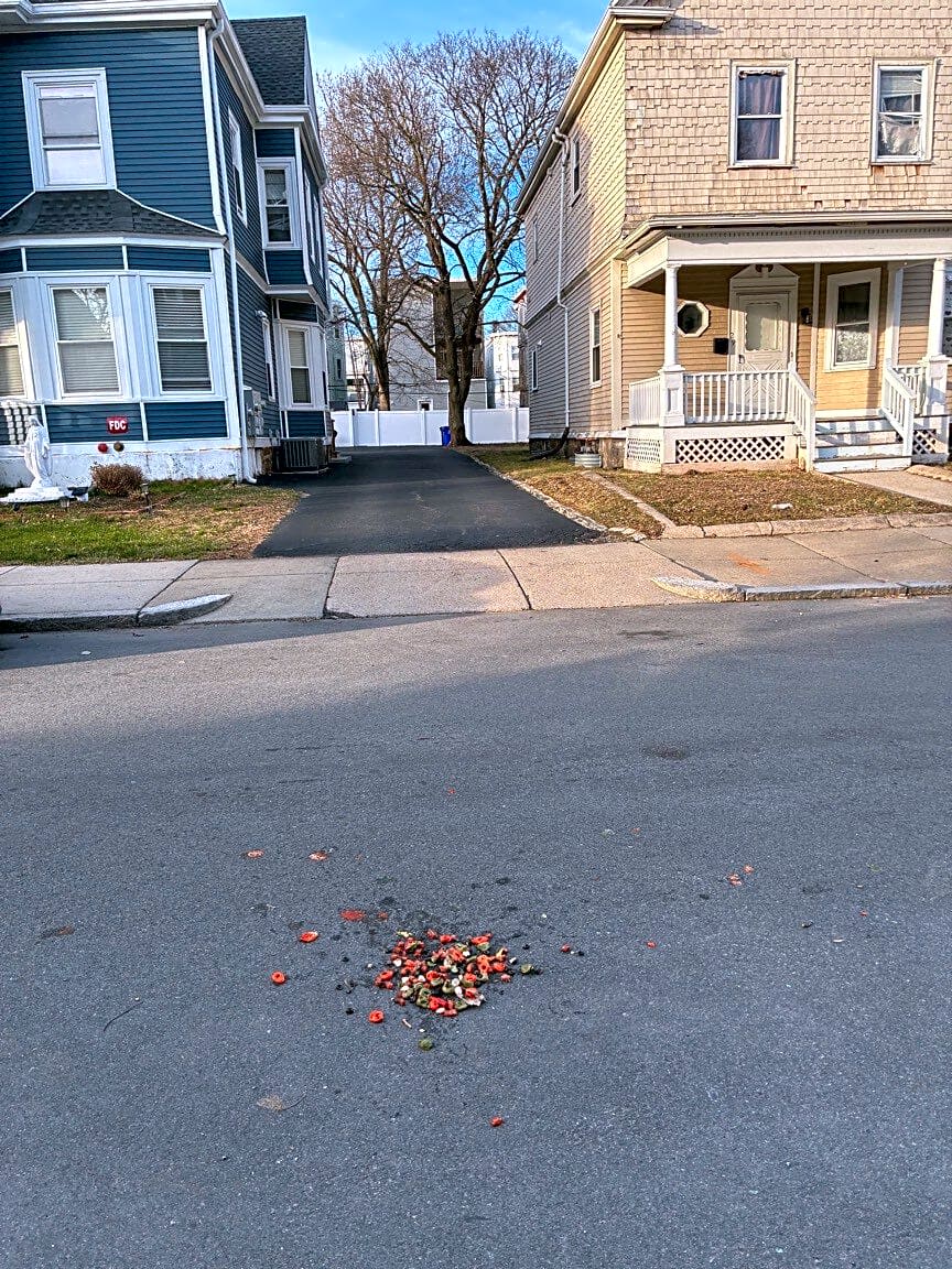 Image submitted with report