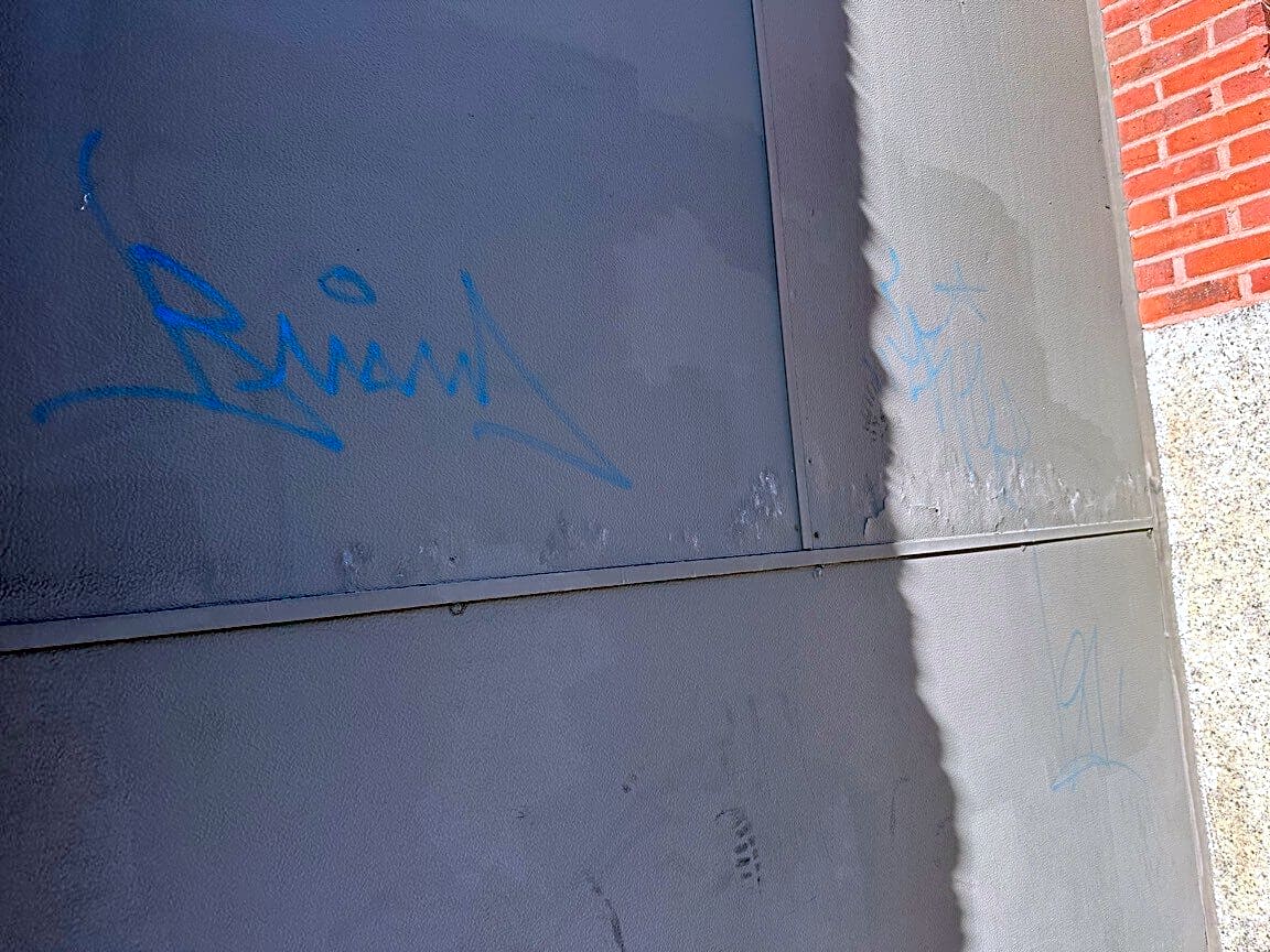 Image submitted with report