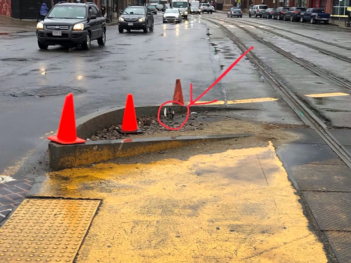 Image submitted with report