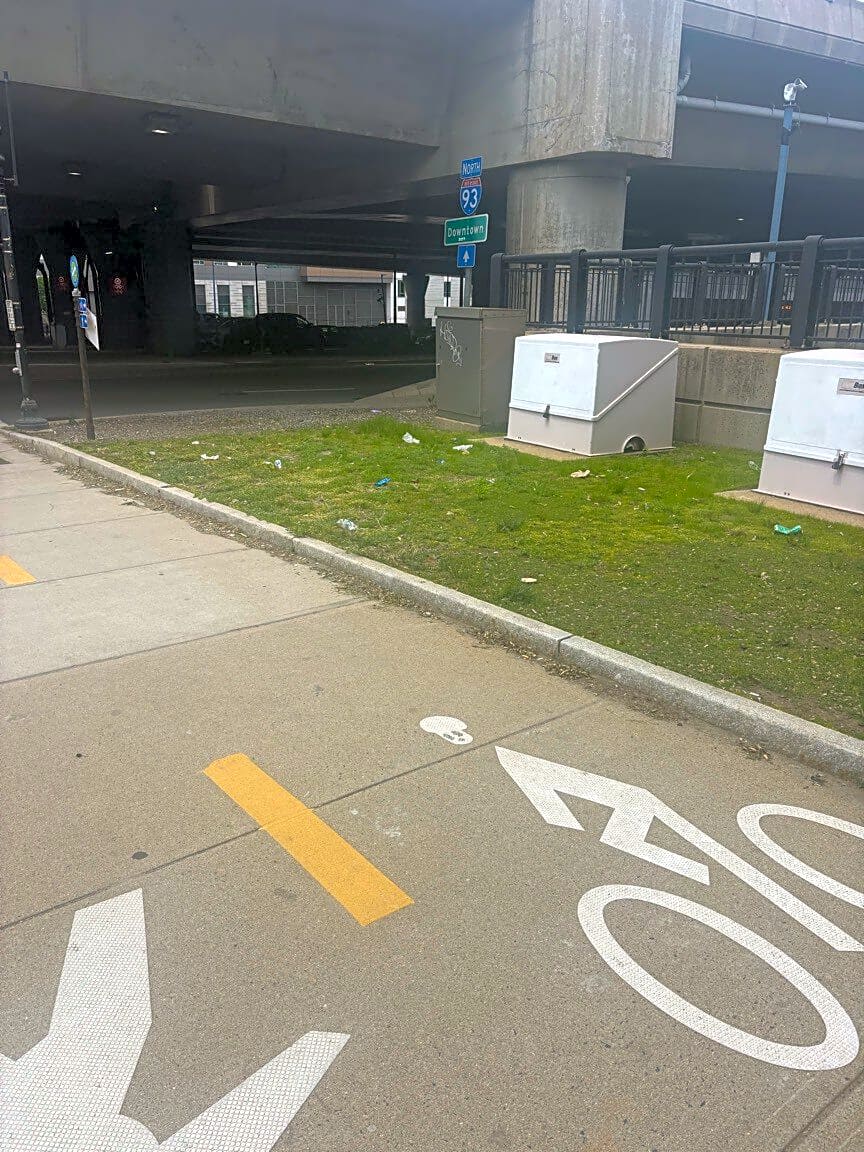 Image submitted with report