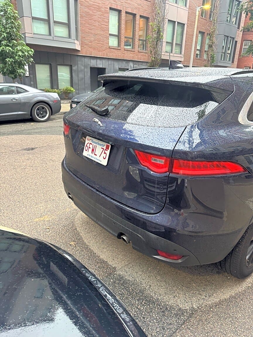 Image submitted with report