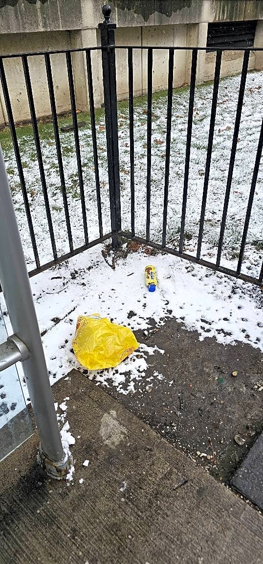 Image submitted with report