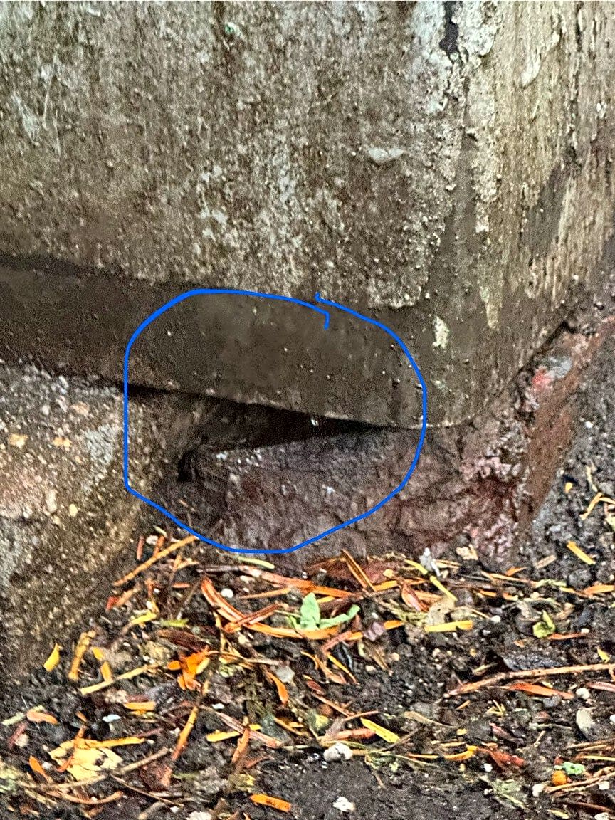 Image submitted with report