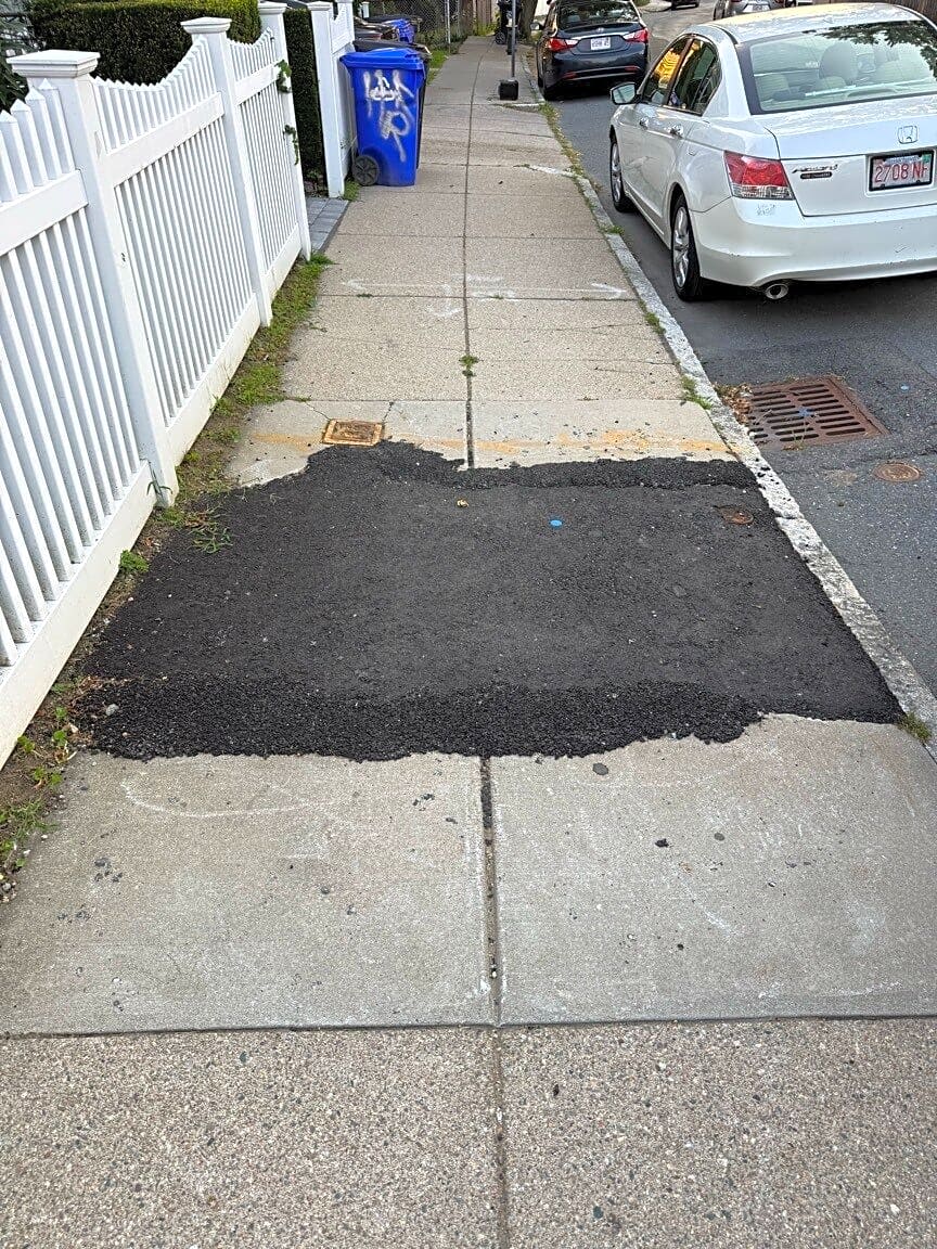 Image submitted with report