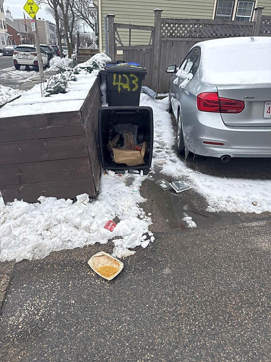 Image submitted with report