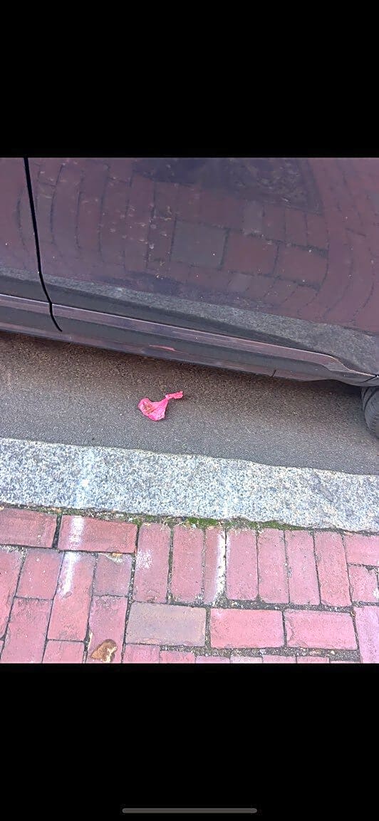 Image submitted with report