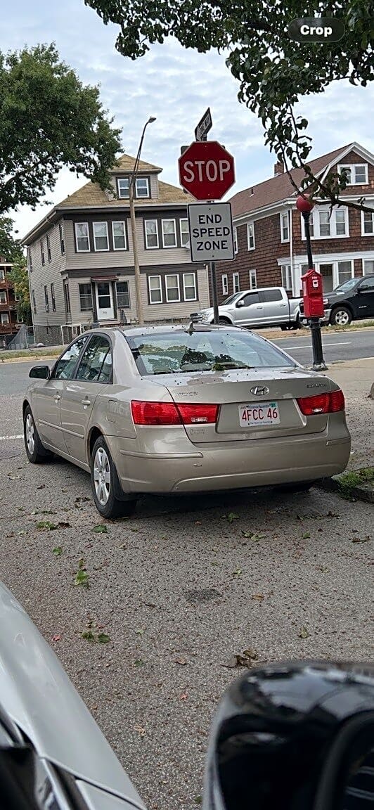 Image submitted with report