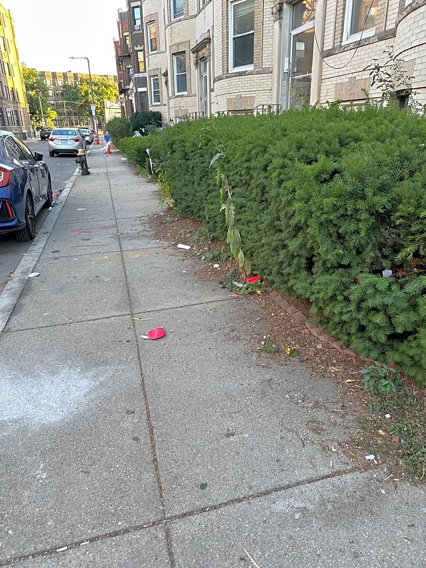 Image submitted with report