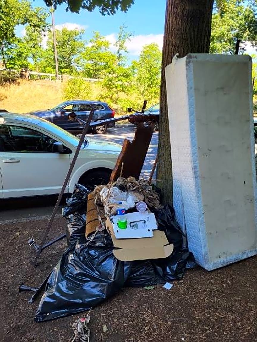 Image submitted with report