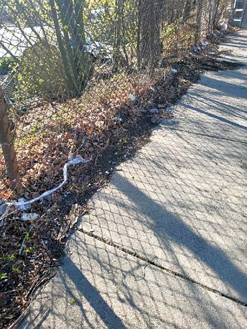 Image submitted with report