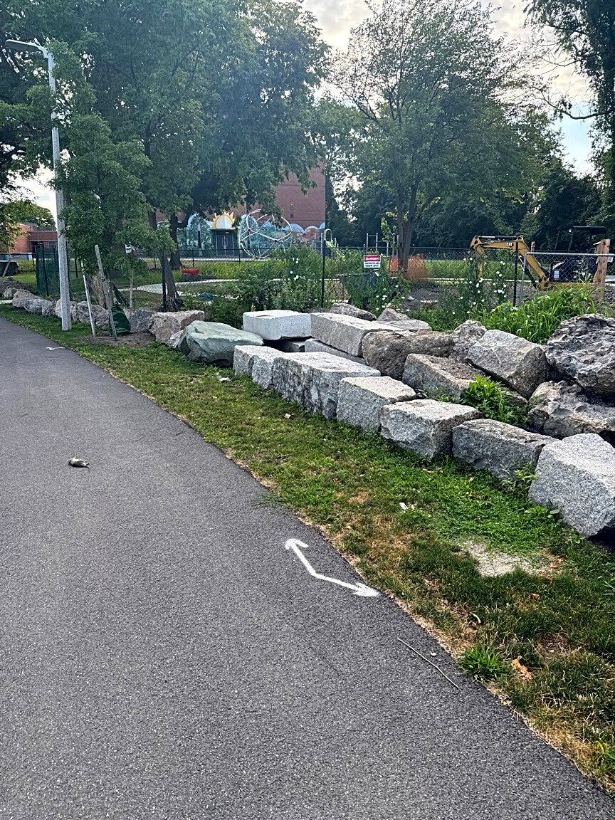 Image submitted with report