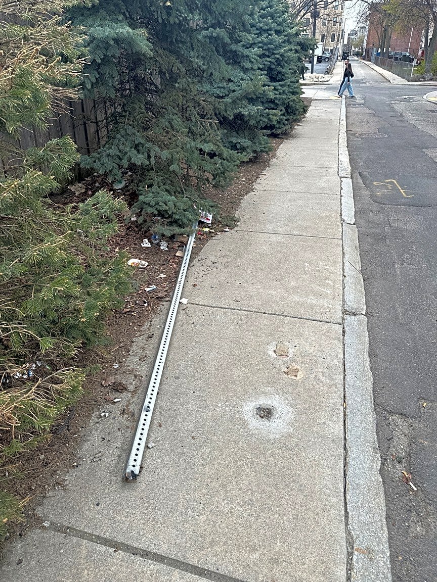 Image submitted with report