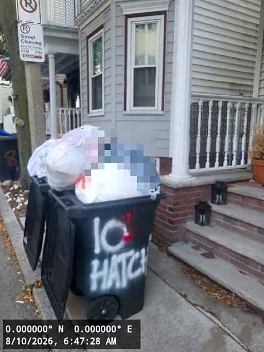 Image submitted with report