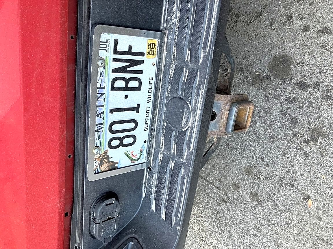 Image submitted with report