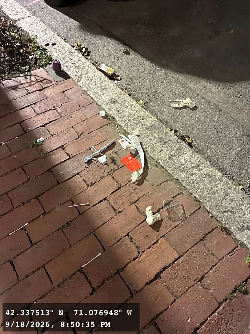 Image submitted with report