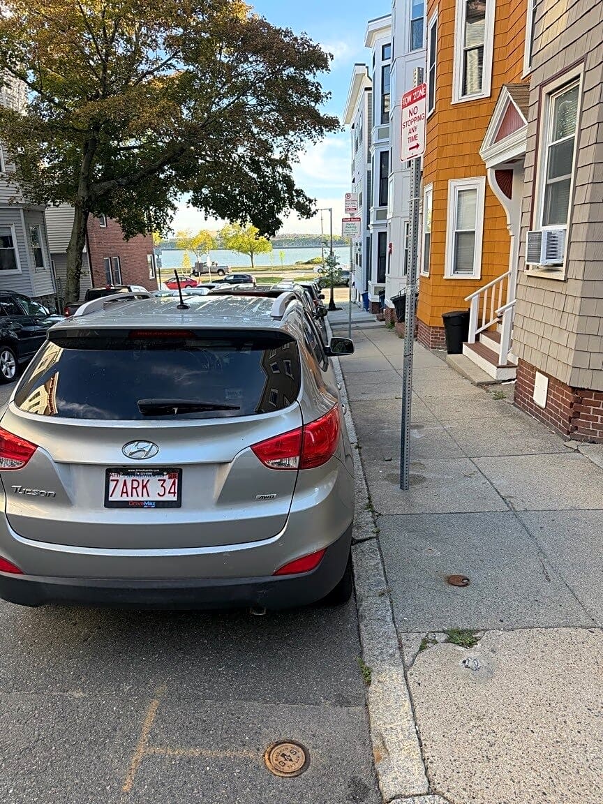 Image submitted with report