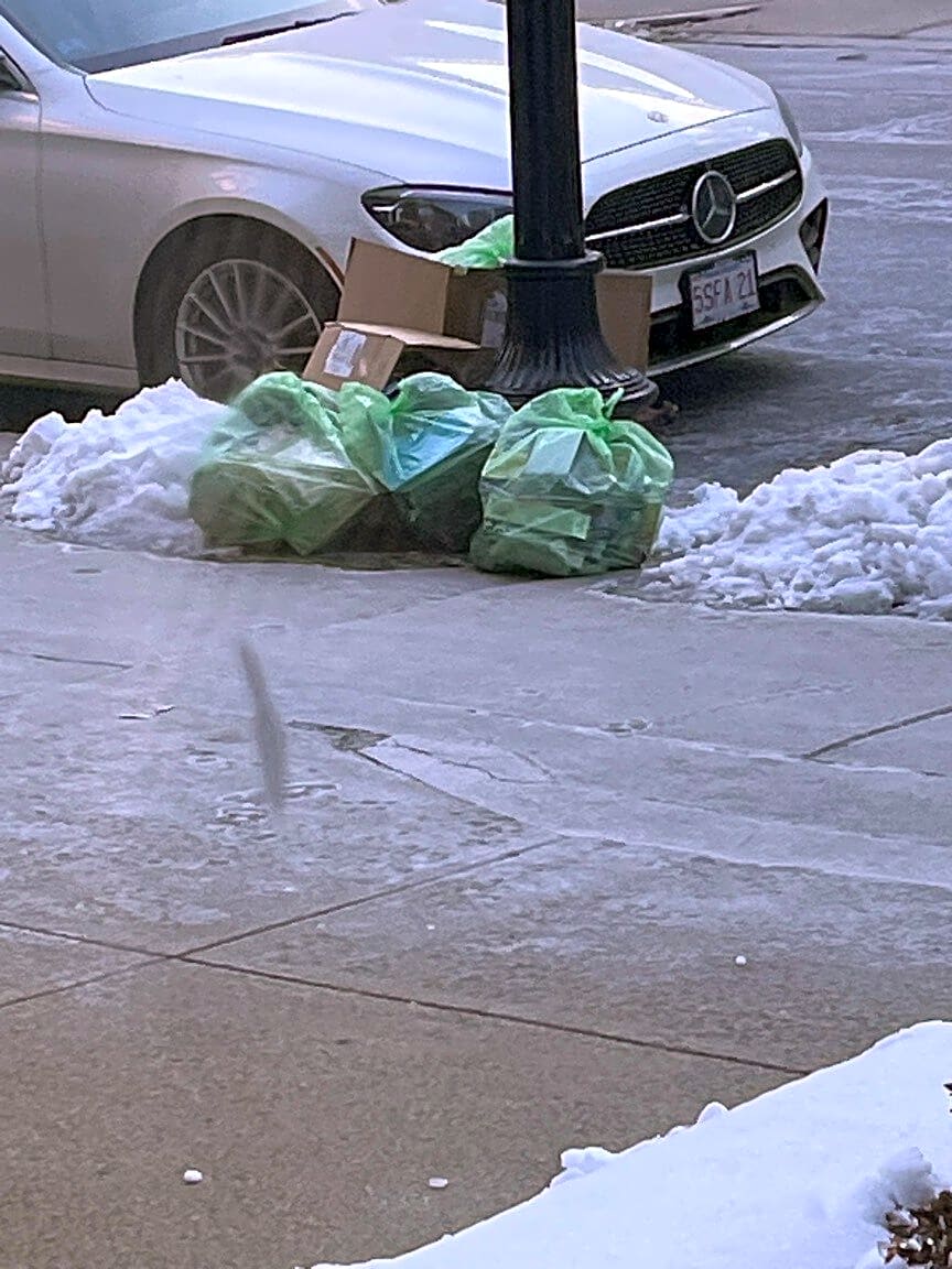 Image submitted with report