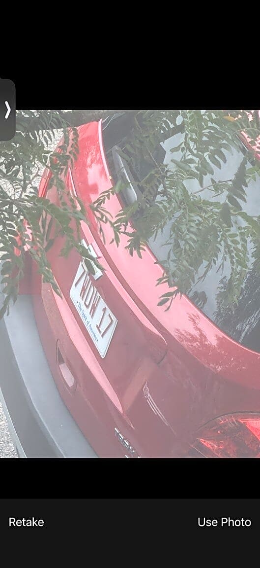 Image submitted with report