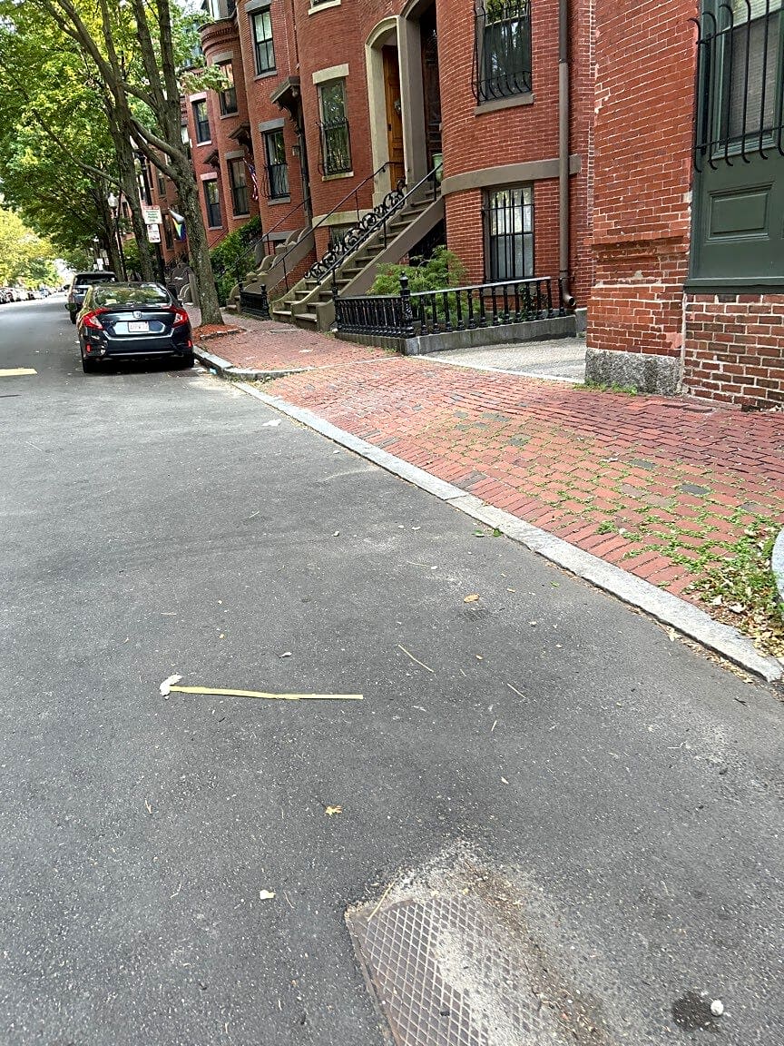 Image submitted with report