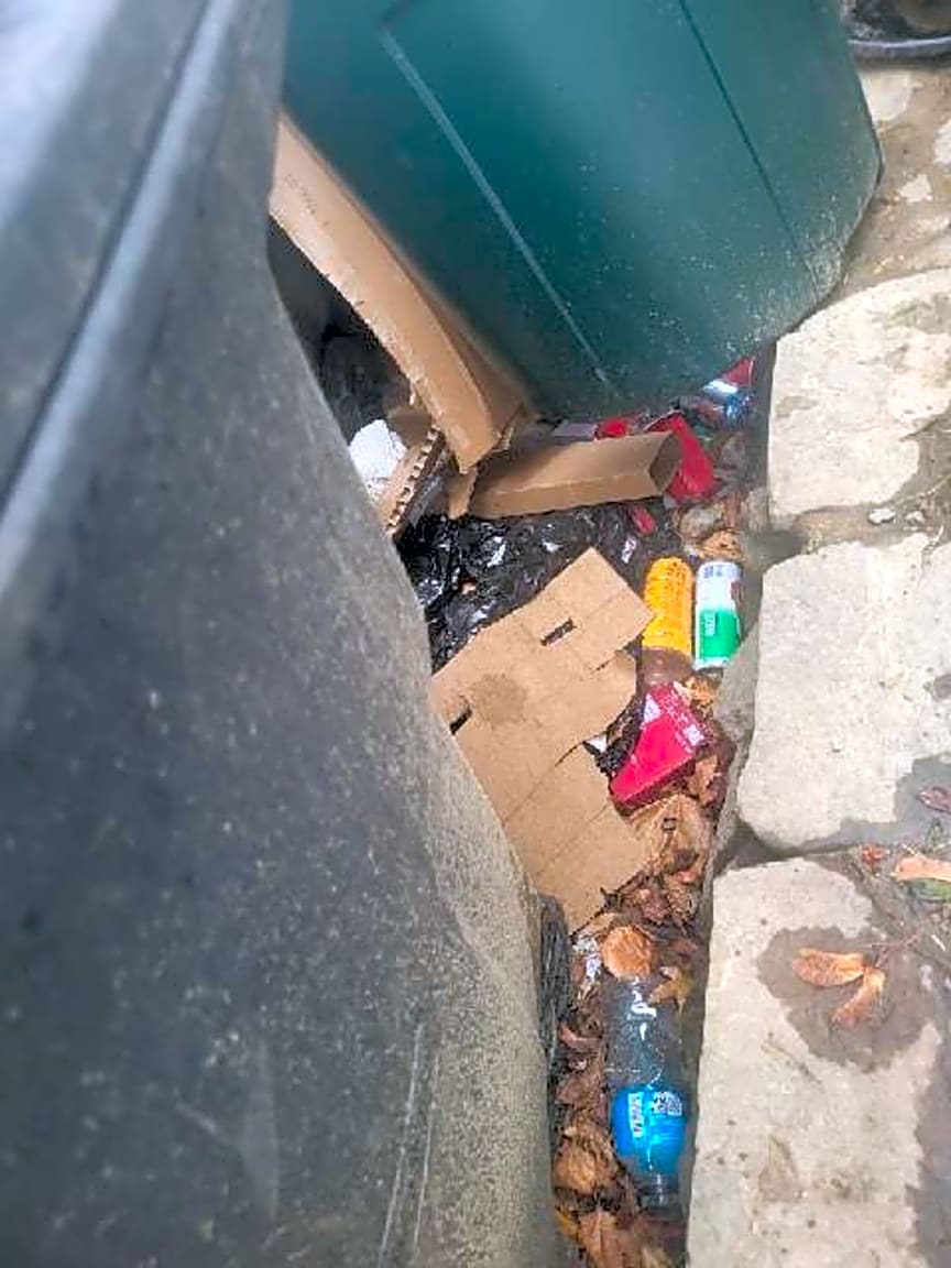 Image submitted with report