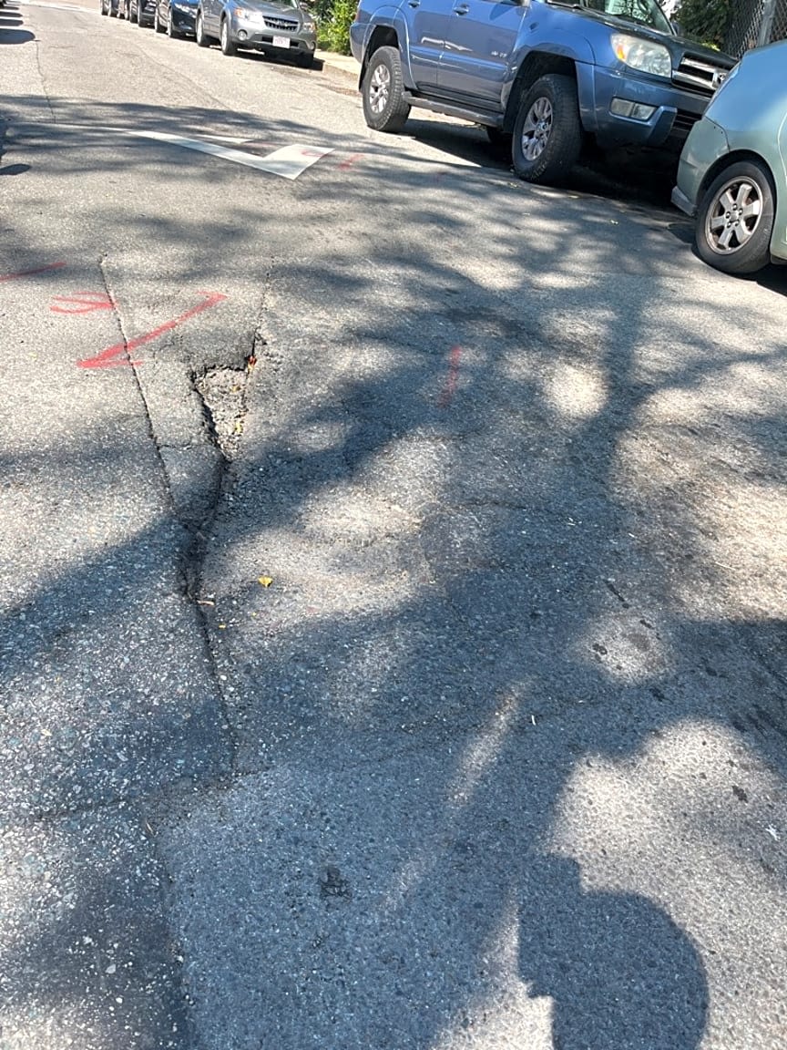 Image submitted with report