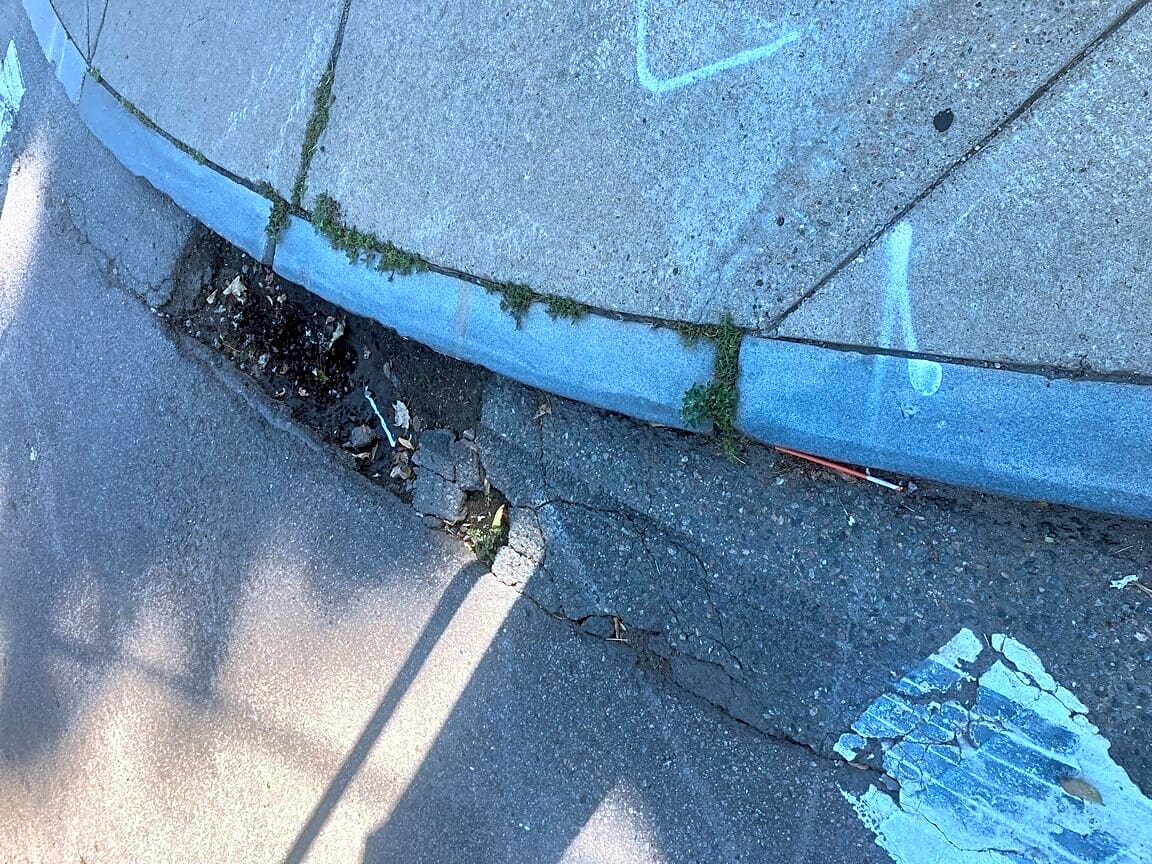 Image submitted with report