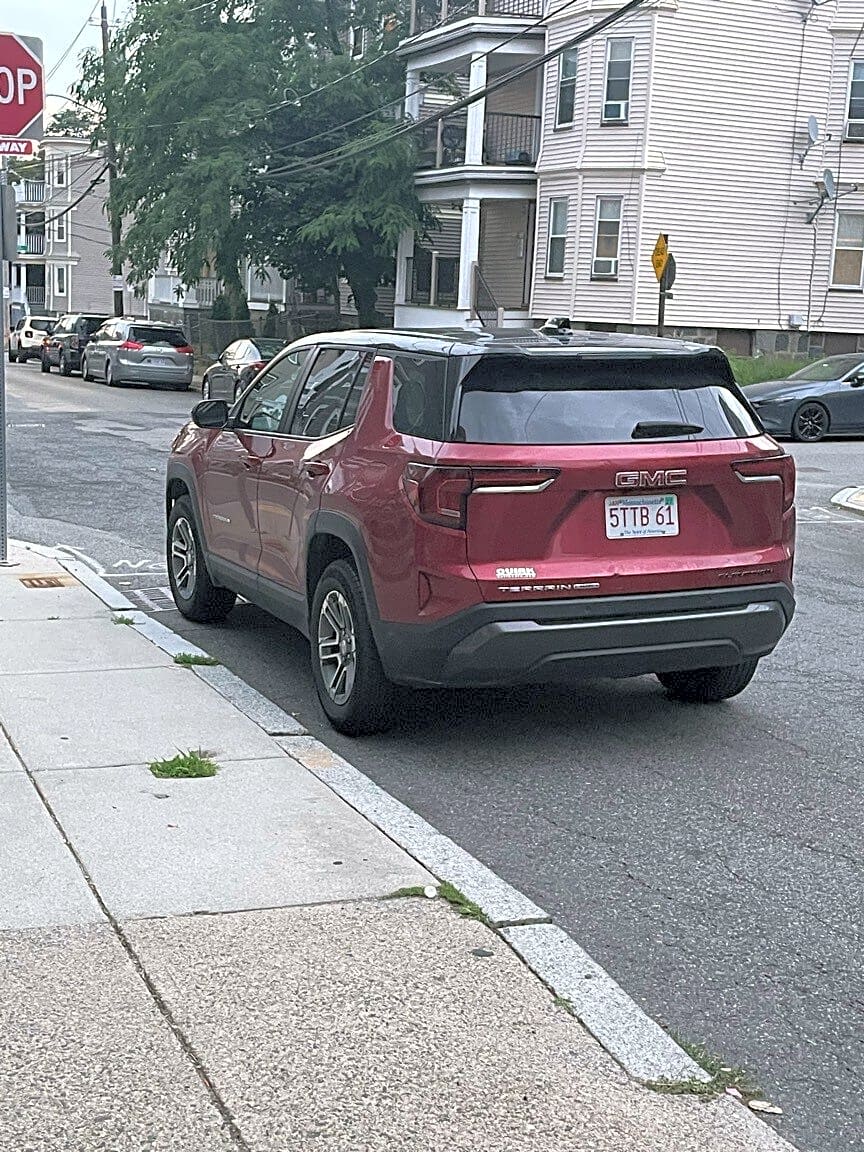 Image submitted with report