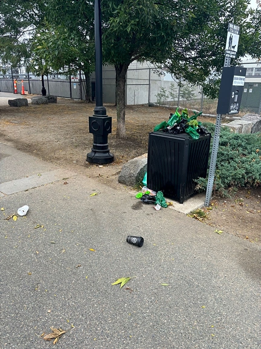 Image submitted with report