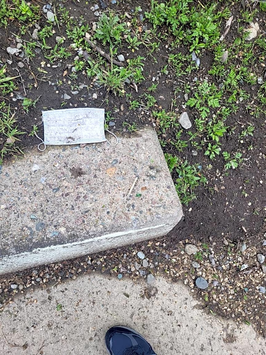 Image submitted with report