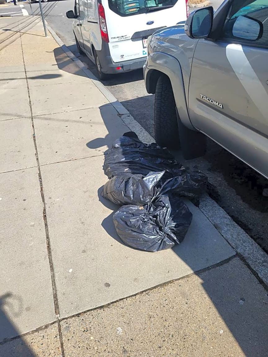 Image submitted with report