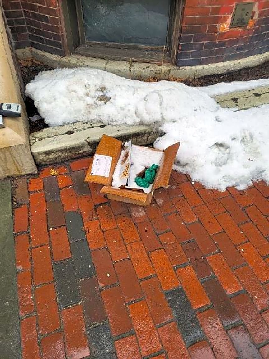 Image submitted with report