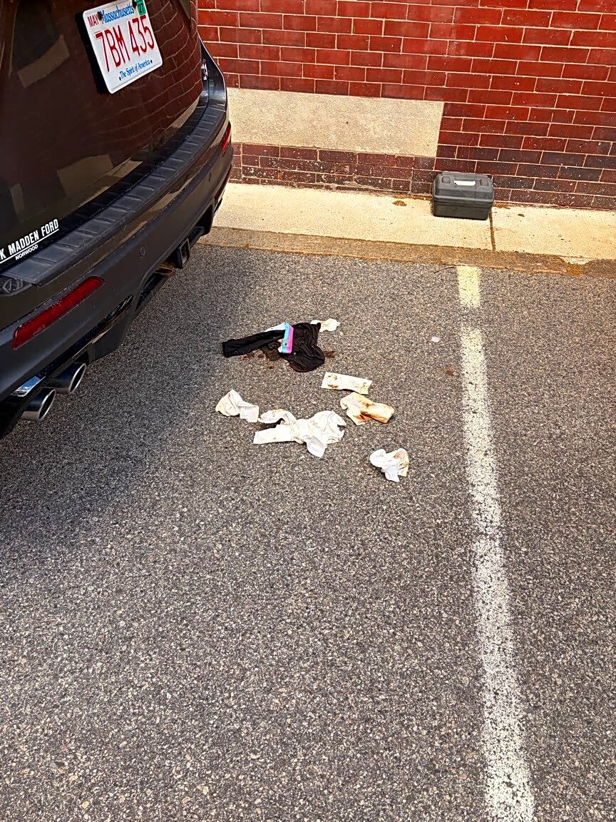 Image submitted with report
