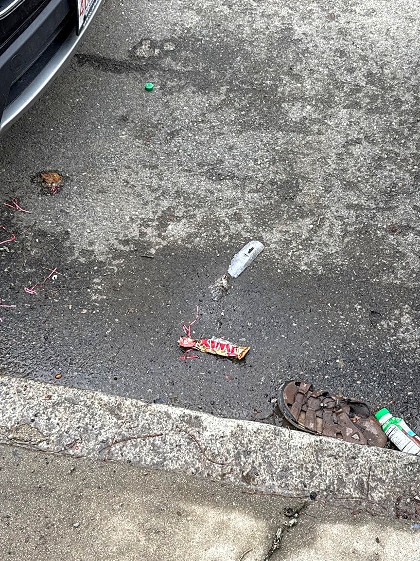 Image submitted with report