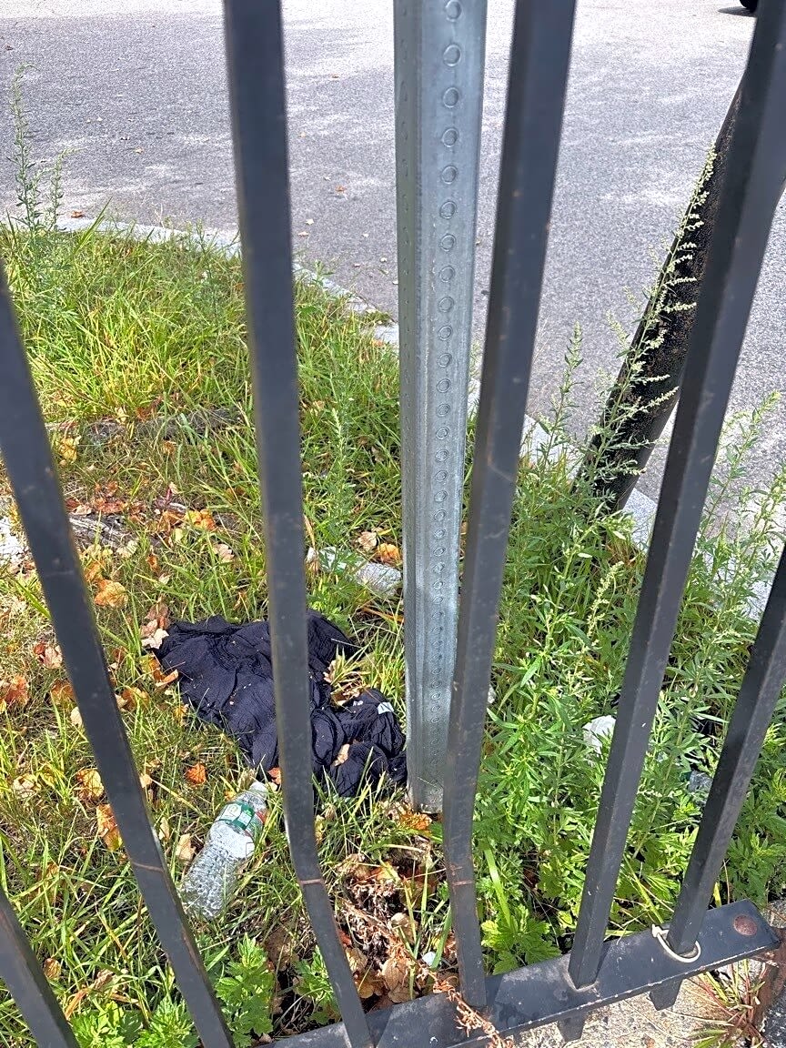 Image submitted with report